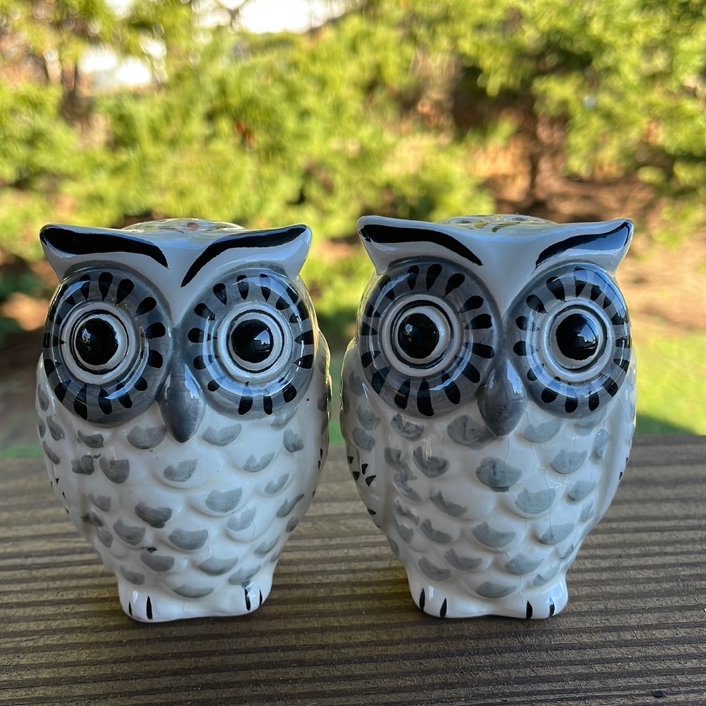 Owl Salt & Pepper Shakers